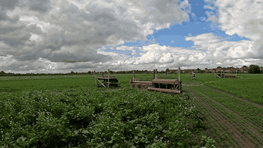 Echte preview van een FenceFocus springclip